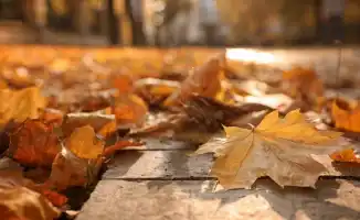 Осень продолжает радовать казахстанцев: теплые дни ожидаются 25-27 ноября, по данным синоптиков Казгидромета