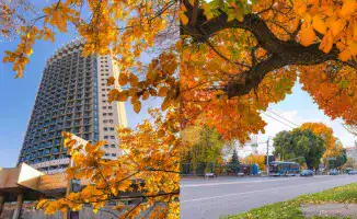 Алматы прощается с золотым сезоном: фотографии последней осени вдохновляют на размышления о времени и переменах