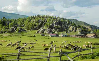 Токаев: Бизнесмены, инвестируйте в села — будущее за вами!