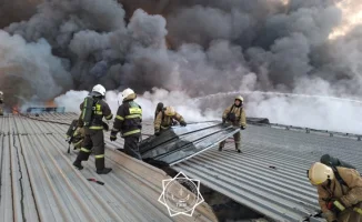 Алматы в огненном кольце: спасатели сражаются с пламенным монстром в сердце Жетысу
