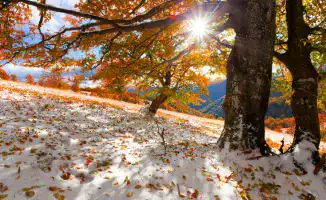 Погода в Казахстане в ноябре: снег и потепление до +25 градусов