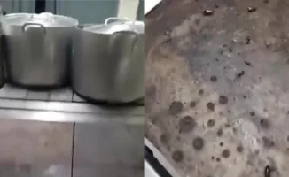 Тараканы, кухня и проверка: что грозит детсаду в Алматы по закону