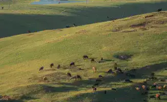 Токаев подчеркивает важность открытости данных о распределении земель на международном форуме сельского хозяйства