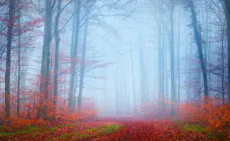 Три дня в тумане: синоптики прогнозируют ухудшение погоды в Астане и Алматы 13-15 ноября