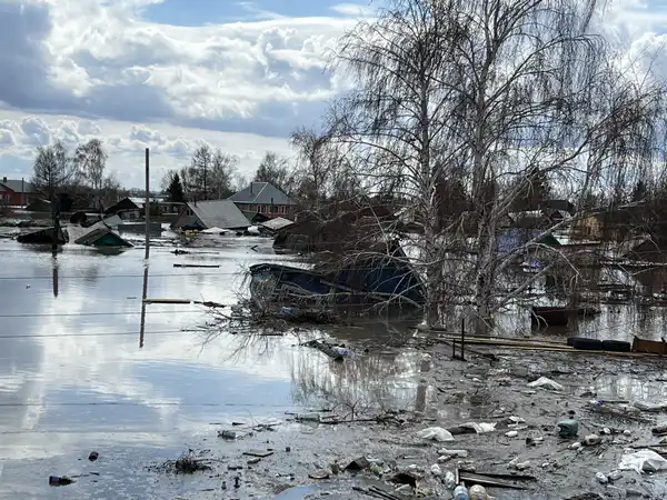 Дома, затопленные по крышу во время паводка 2024 года в СКО