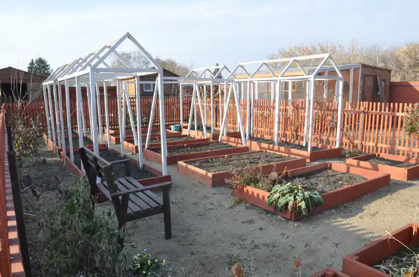 На участке Ирины Фишбух в деревне. Фото: ©️ Tengrinews.kz / Елена Бережная