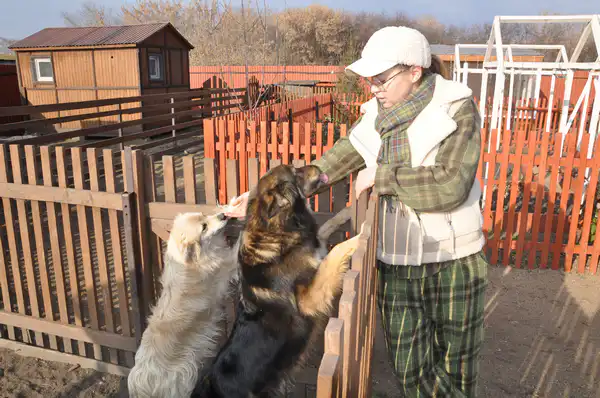 Ирина и её собаки