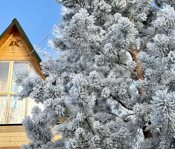 Дача Ирины Фишбух зимой. Фото из личного архива героини