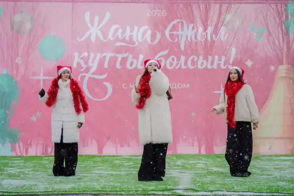 Новогодние праздничные концерты проходят во всех районах столицы (2)