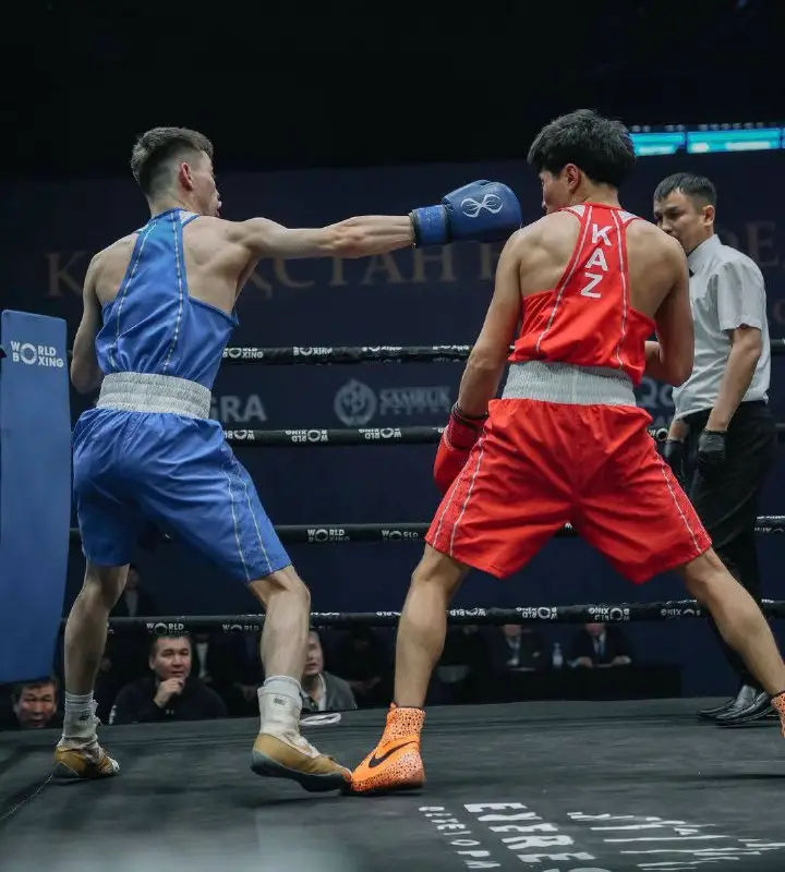 Кубок Федерации бокса Казахстана: серебряными призерами стали столичные мастера кожаных перчаток (4)
