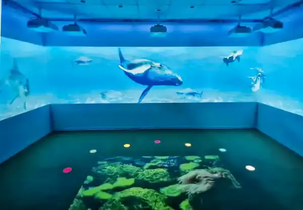 В Северо-Казахстанской области откроются два новых реабилитационных центра для детей с особыми потребностями (7)