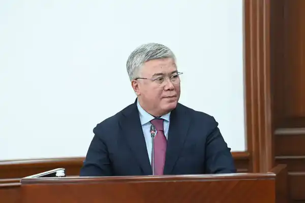 Обсудили ход реализации проекта «Ауыл аманаты» в регионе (6)