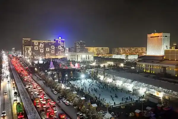 В Шымкенте зажгли огни главной новогодней ёлки города (6)