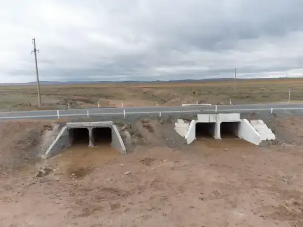 О ходе противопаводковых мероприятий в регионах (6)