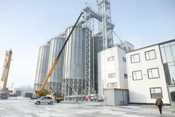 Строительство комбикормового завода мощностью 750 тыс. тонн в год завершается в СКО (4)