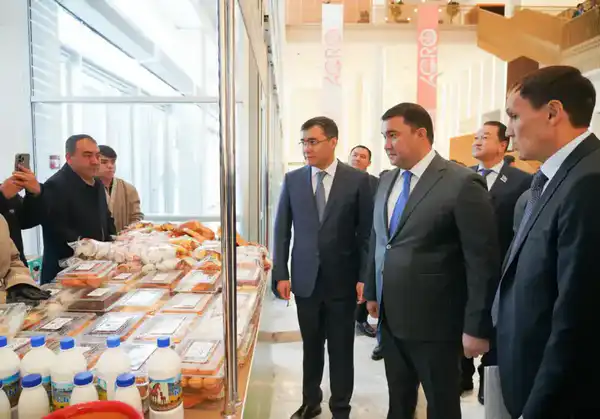 В ТУРКЕСТАНСКОЙ ОБЛАСТИ ПОЧЕТНЫМИ ЗНАКАМИ ОТМЕТИЛИ РАБОТНИКОВ СЕЛЬСКОГО ХОЗЯЙСТВА (6)