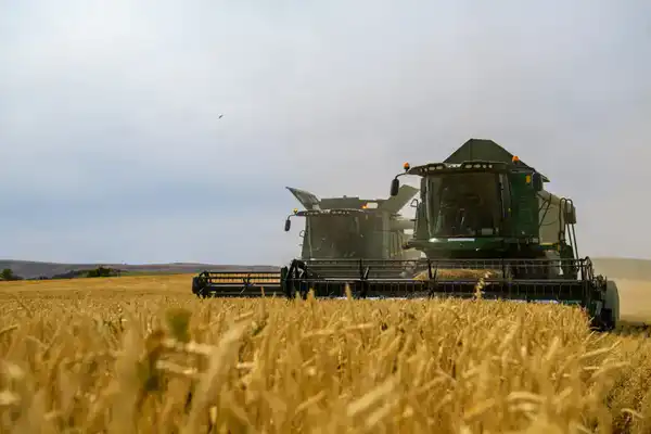 За 3 года в Жетісу введено в оборот 712 тыс. га неиспользуемых земель, а еще 603 тыс. га возвращено в госсобственность (2)