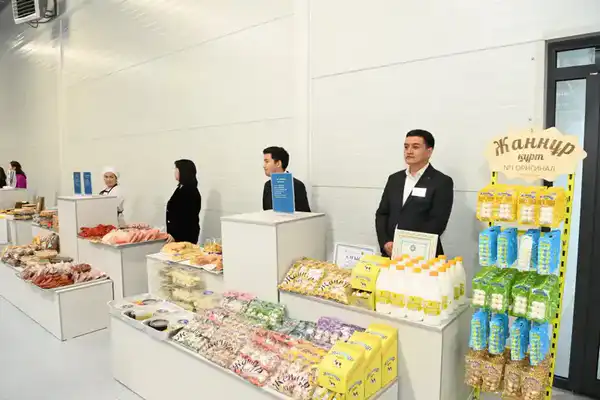 Заместитель Премьер-министра ознакомился с работой малой промышленной зоны «Тумар» (10)