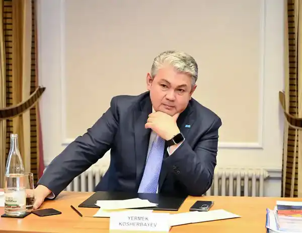 Министр иностранных дел Казахстана обсудил со швейцарским бизнесом модернизацию инфраструктуры и агропромышленного комплекса (3)