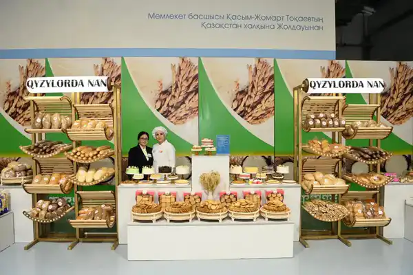 Заместитель Премьер-министра ознакомился с работой малой промышленной зоны «Тумар» (9)