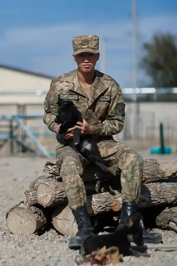 Щенки тоже готовы служить стране: в Нацгвардии увеличивается число породистых служебных собак (5)