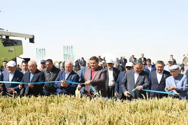 Посевные площади в Кызылординской области диверсифицируются (4)