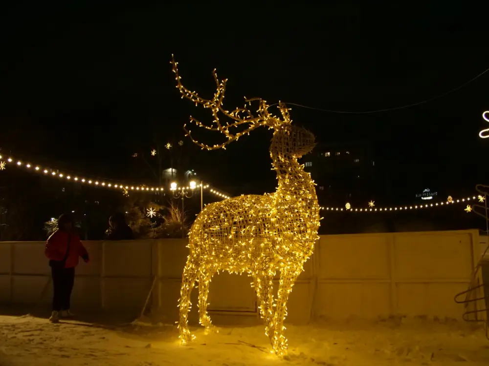 Сквер на месте пустыря и десятки тысяч новых деревьев появились в столичном районе Байконыр в 2025 году (6)