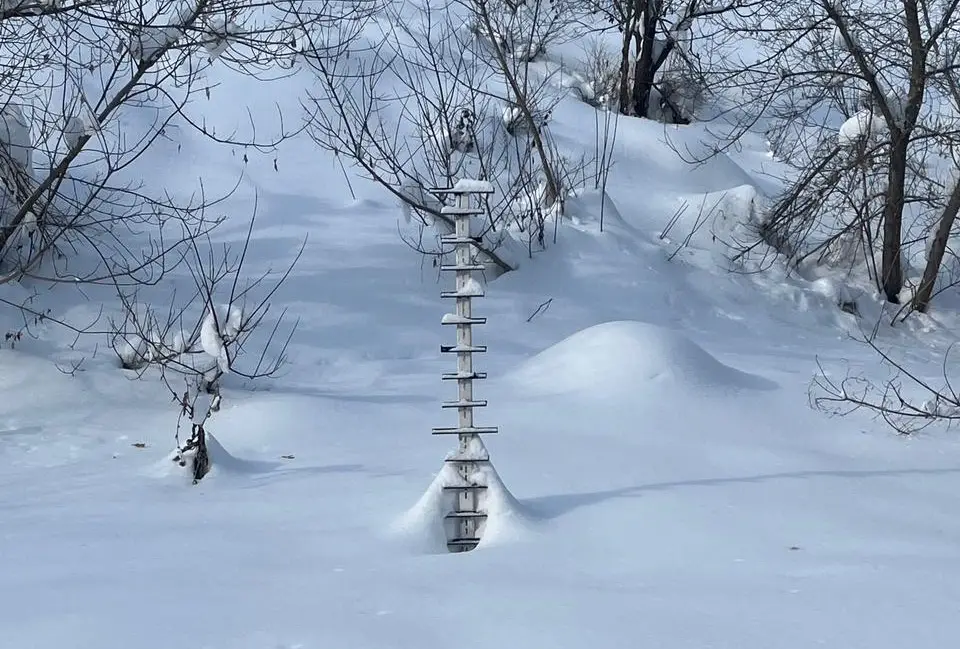 В ВКО проводится мониторинг за лавинной обстановкой (2)