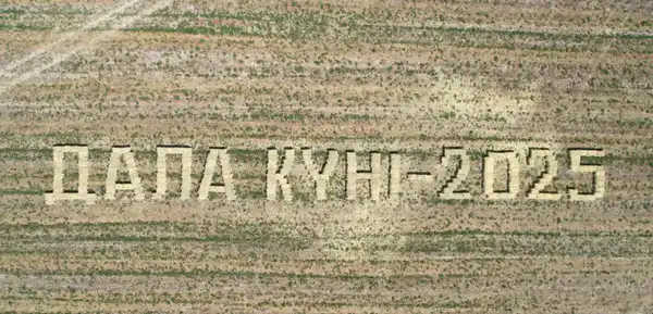 Посевные площади в Кызылординской области диверсифицируются (6)