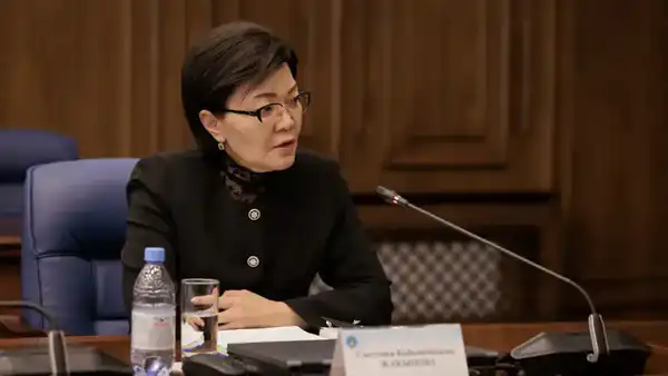 Итоги госаудита систем пенсионного и социального обеспечения граждан подведены в ВАП (3)