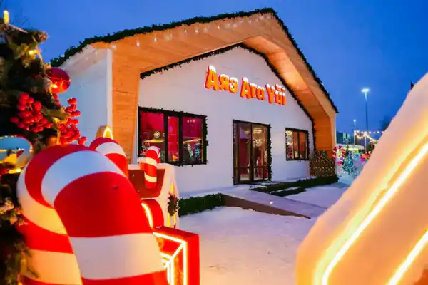 Более 40 новогодних ёлок одновременно зажгли в Астане (10)