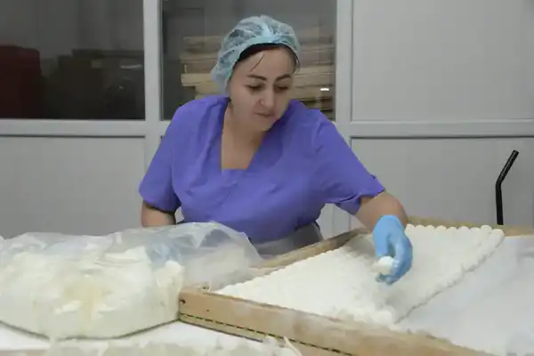 В области Жетісу объем продукции, произведенной субъектами малого и среднего бизнеса, увеличился на 15,2% (3)