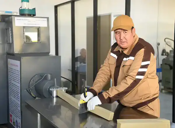 Советник главы Правительства посетил село Бесарык (10)