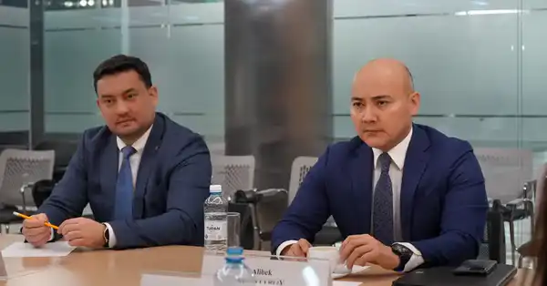 «Xinjiang Lihua» увеличивает объём инвестиций в Казахстан до 600 млн долларов США (3)