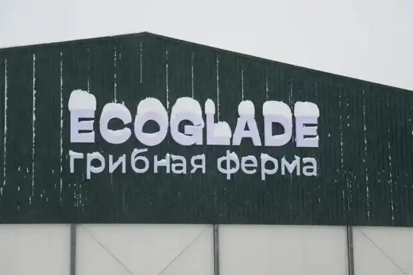 Производство сгущенного молока мощностью 12 тыс. тонн в год запустили в СКО (6)