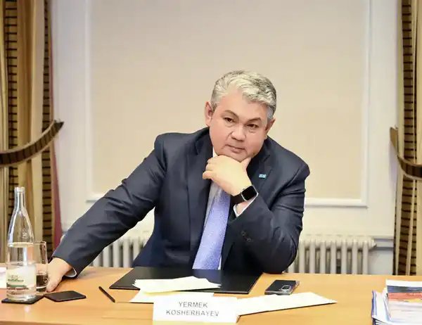 Министр иностранных дел Казахстана обсудил со швейцарским бизнесом модернизацию инфраструктуры и агропромышленного комплекса (3)