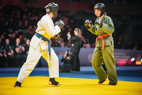 О проведении турнира по рукопашному бою (2)