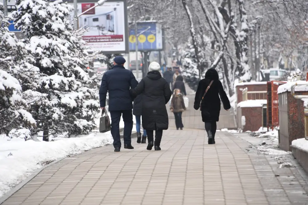 Алматинцы смогут сохранять статус застрахованного до 6 месяцев при перерыве в платежах (5)