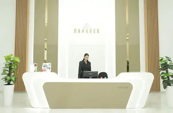 В Кызылорде открылась современная мебельная фабрика (7)