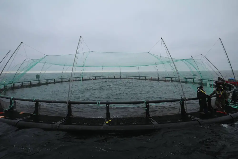 В Мангистау реализуется первый в Центральной Азии проект морской аквакультуры (6)