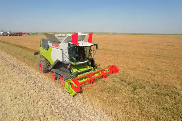 Посевные площади в Кызылординской области диверсифицируются (2)