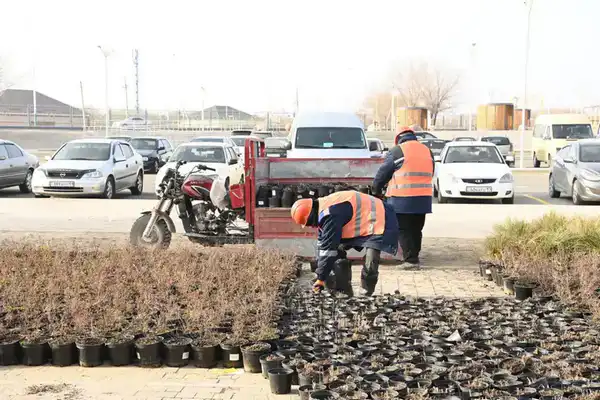 Увеличится количество мест отдыха (4)
