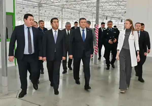 Тепличный комплекс «Зеленый Север» планирует расширение производственных мощностей до 4,5 тыс.тонн продукции в год (5)