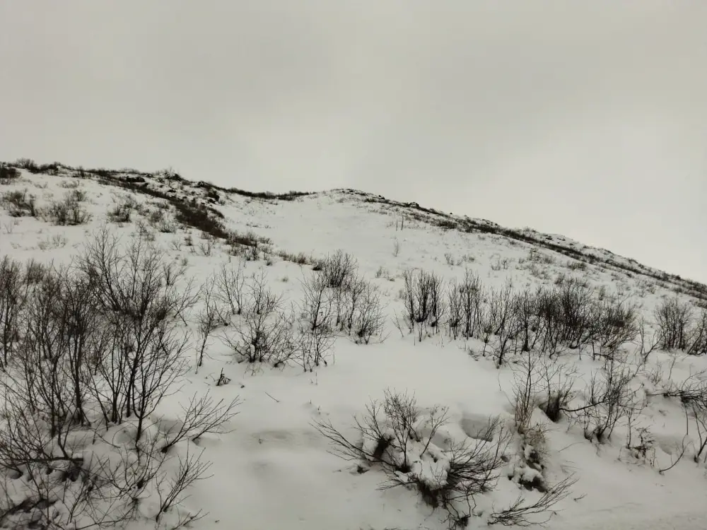 В ВКО проводится мониторинг за лавинной обстановкой (4)