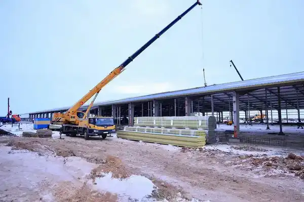В Карагандинской области создают сельскохозяйственный кластер (4)