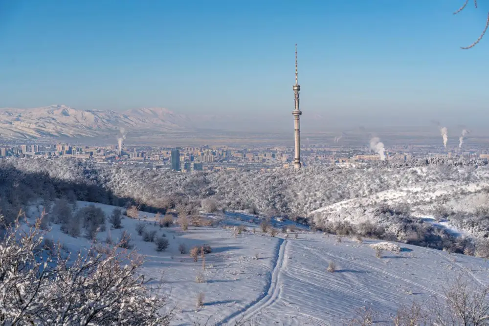 Алматы представил План развития до 2030 года (2)