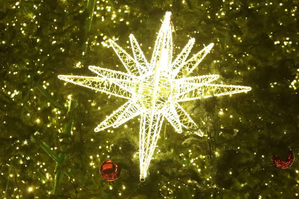 Туристы из Дубая отмечают доброжелательность казахстанцев на новогоднем шоу Алматы (7)