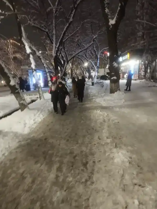 Около 1 200 единиц спецтехники заняты в снегоуборочных работах в Астане ночью (4)