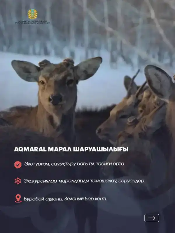 Куда отправиться на зимний отдых?10 направлений в Акмолинской области (9)