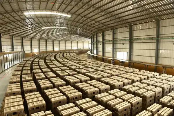 Более 750 млрд тенге инвестиций будет привлечено в Кызылординскую область в этом году (4)